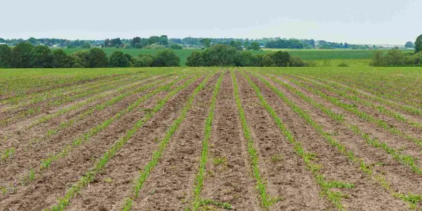 increase-soil-fertility